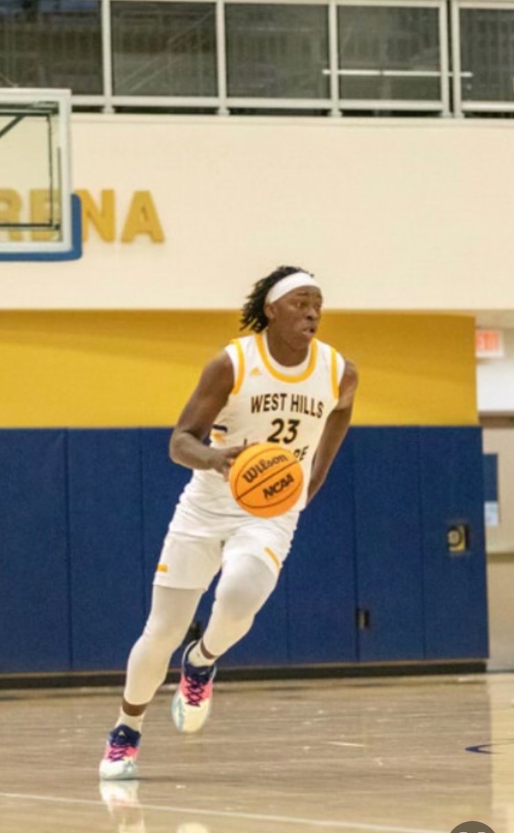 Congratulations to 6”7 freshman, James Nichols on being named first team all Conference , first team all freshman! 🦅🏀🙏🏿

16pts 11rebs and 2 ast per game