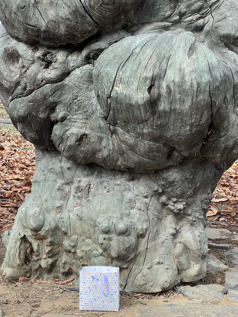 입장하는 곳 맞은편 돌 석상 밑에 있어용~~~1장씩 들고 가주세요💖💖💖