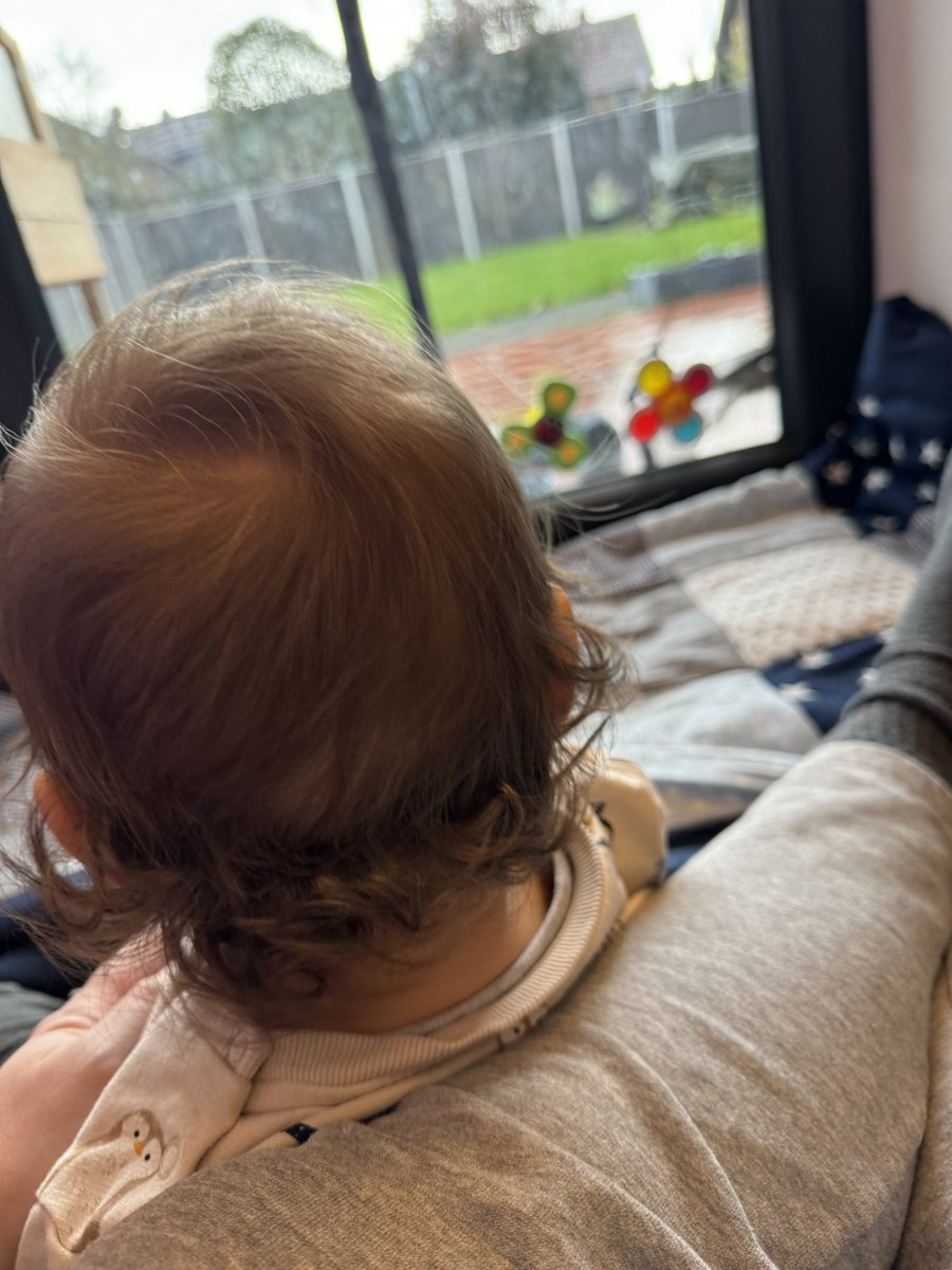 Sonntag Morgen. 
Es regnet 🌧️. Meiner kleiner (14 Monate) und ich sitzen an der Terrassentür. Mama ist unterwegs 😅
Beide gucken raus. Er nen Keks 🍪 in der Hand und ich nen alten Toast mit Käse.

Habe die Tage immer mal wieder gelesen, dass sich einige #twitchstreamer die Frage