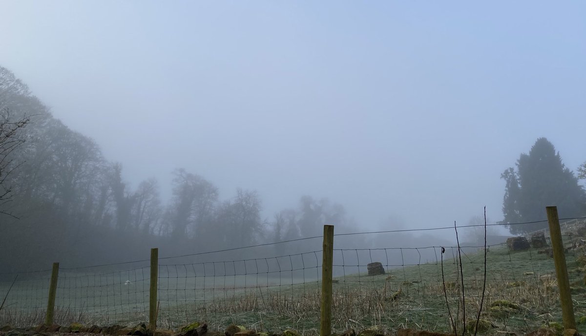 An atmospheric beginning to #Sunday morning in our rural area. The mist looks likely to clear into a glorious sunny day. 
I’m going to #WriteClub which begins at 10 am, and is free. 
@TLCUK #BeingAWriter 
#WritingCommunity