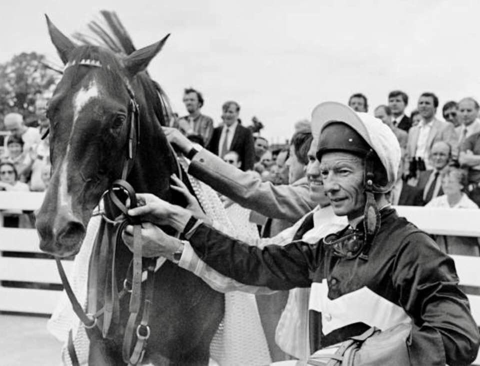 Ardross was the last Cup King from a golden era for the stayers division. In his final campaign in 1982, he won the Jockey Club Stakes, Yorkshire Cup, Henry II Stakes, Ascot Gold Cup, Geoffrey Freer Stakes (pictured after giving Lester his 4000th winner) and Doncaster Cup.