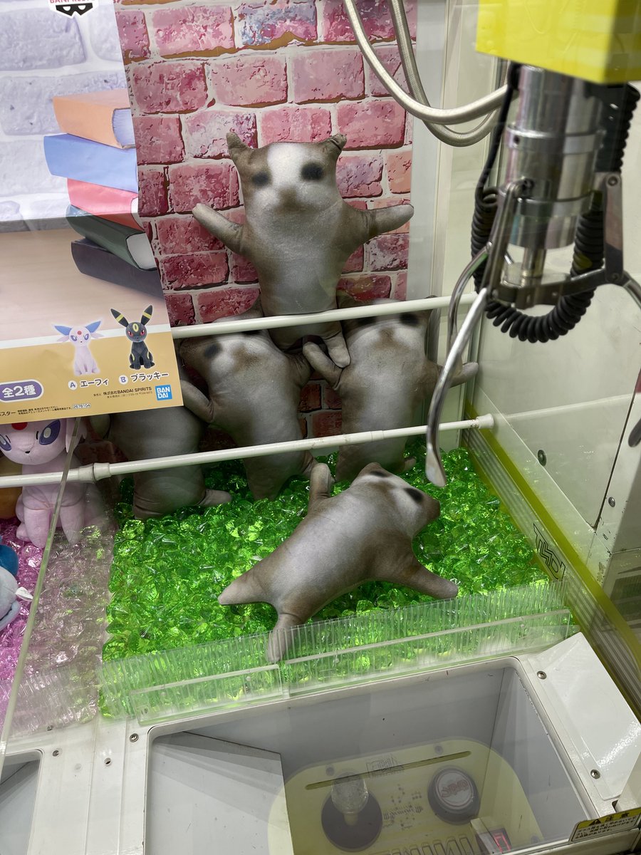 Happy Cat 😺, I want this Stuff Toy 😀