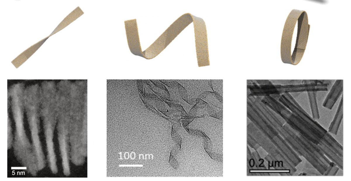 Our latest paper is out in @PNASNews ! Ligand-induced incompatible curvatures control ultrathin nanoplatelet polymorphism and chirality | PNAS pnas.org/doi/abs/10.107… A short thread 🧵