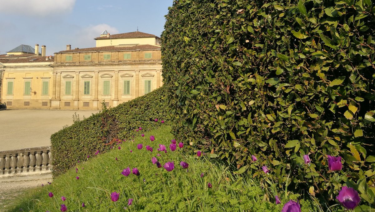 Una schiera di anemoni viola introduce uno scorcio dell'ottocentesca Palazzina della Meridiana, sede del Museo della Moda e del Costume.

Vi ricordiamo che con il biglietto cumulativo potete visitare il Giardino di Boboli assieme a Palazzo Pitti!