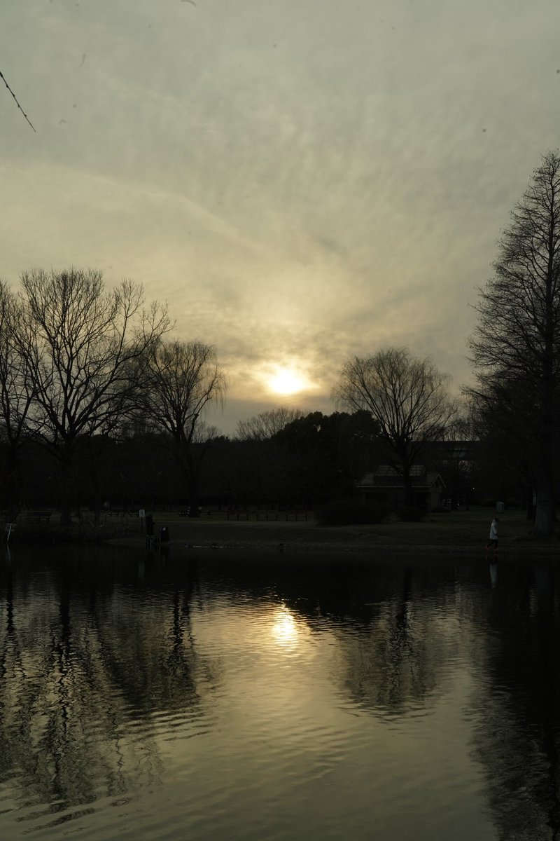 archihiro1970's tweet photo. 舎人公園の池。
 #これを見た人は夕方に撮った写真を貼る https://t.co/JdHLoa6Usn