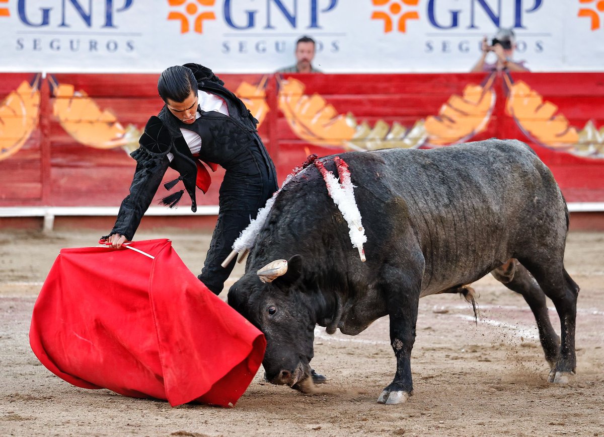 🙏🏼 Gracias León! 
#️⃣𝗟𝗮𝗤𝘂𝗶𝗲𝘁𝘂𝗱𝗘𝗻𝗘𝗹 𝗖𝗮𝗼𝘀