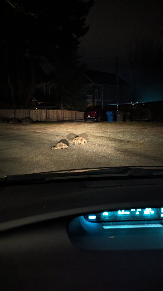 southtacoma's tweet image. &quot;Why don&apos;t we do it in the road&quot; 🎶