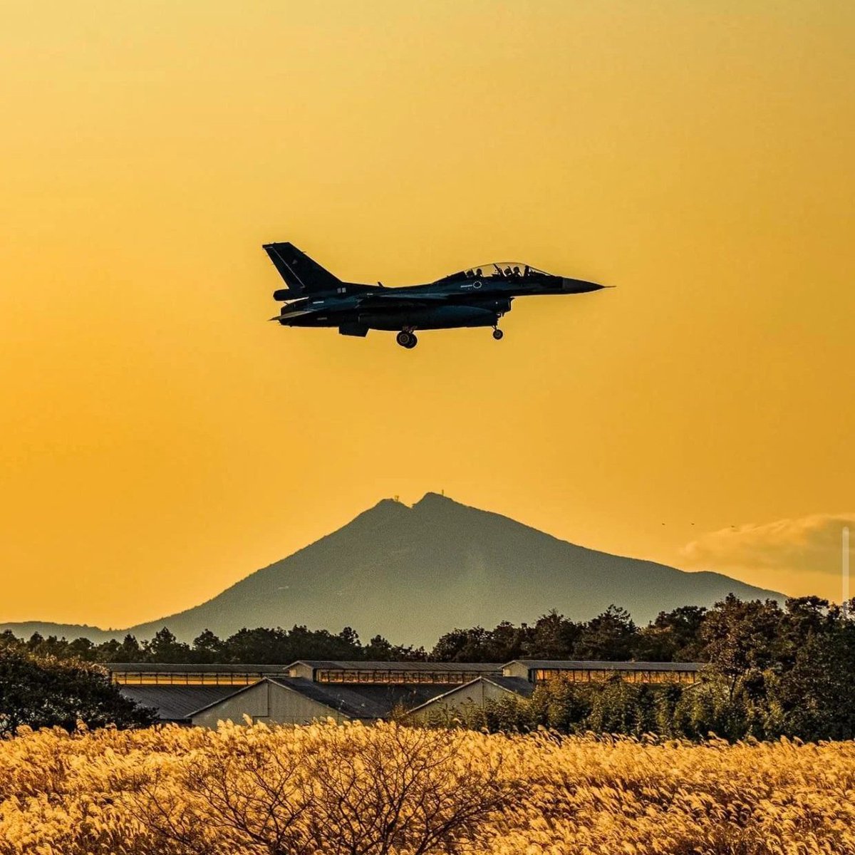 ART! A gorgeous view of a Mitsubishi F-2 \, image size:1200x1200