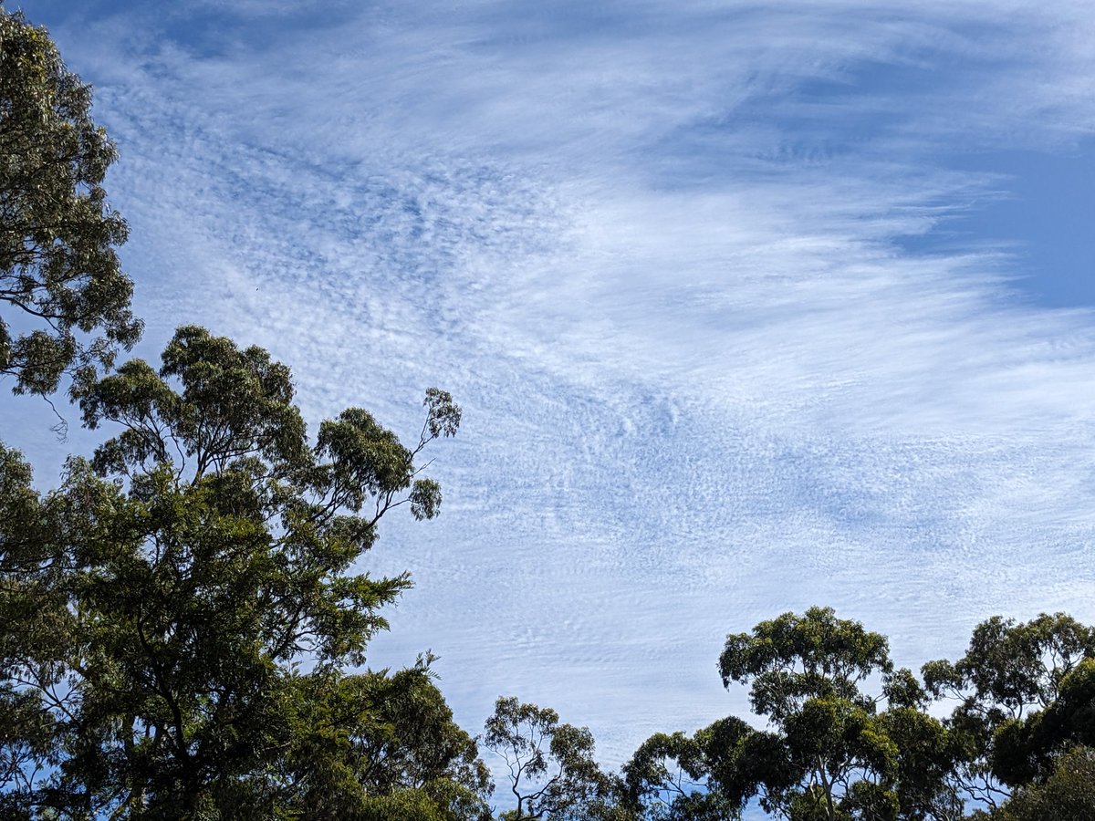 Funky cirrus (or cirrosrtatus) clouds over radelaide