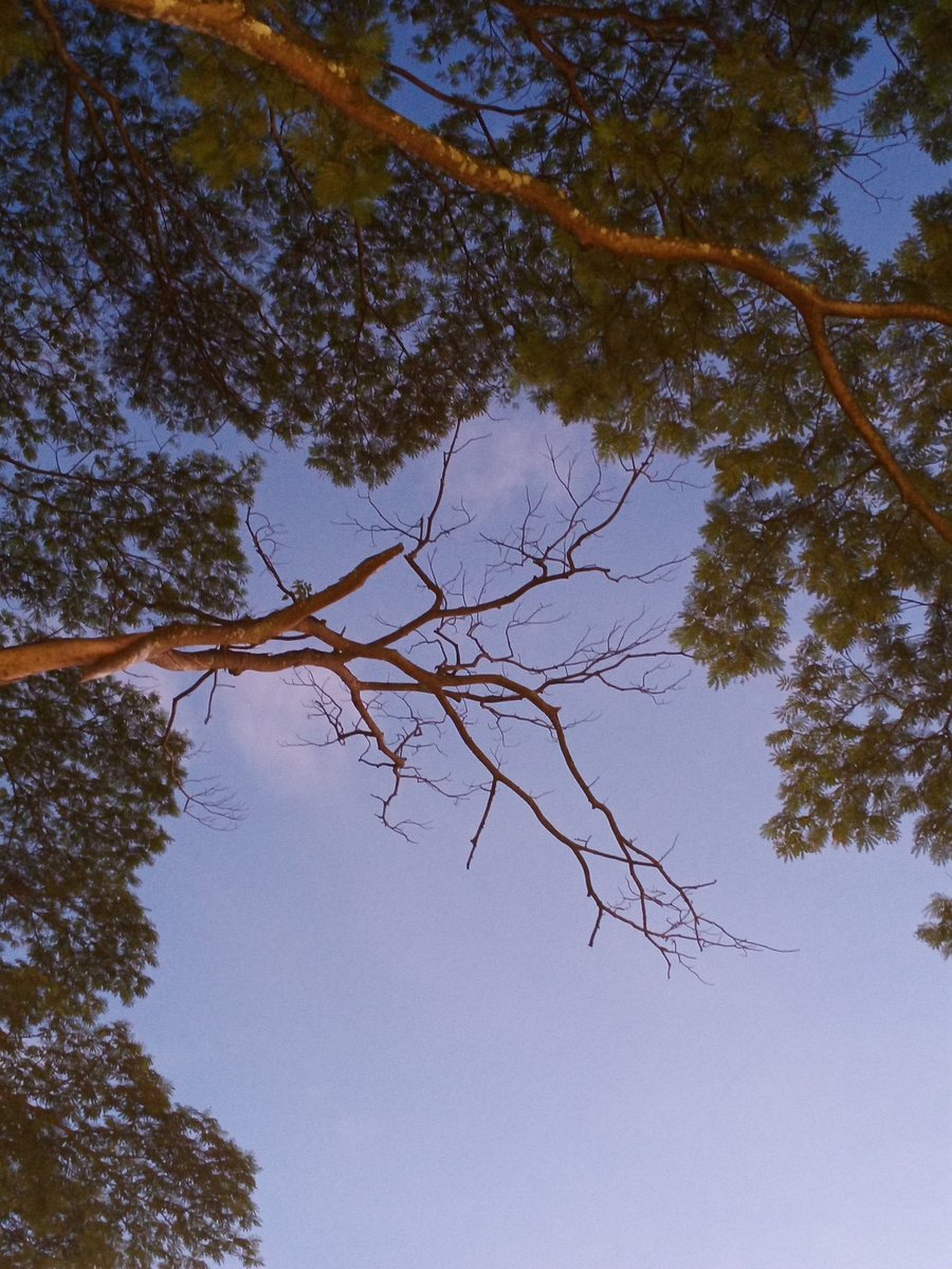 Wellness!
<a href="/yogapetz/">Yogapetz</a> 
#Well
$WELL