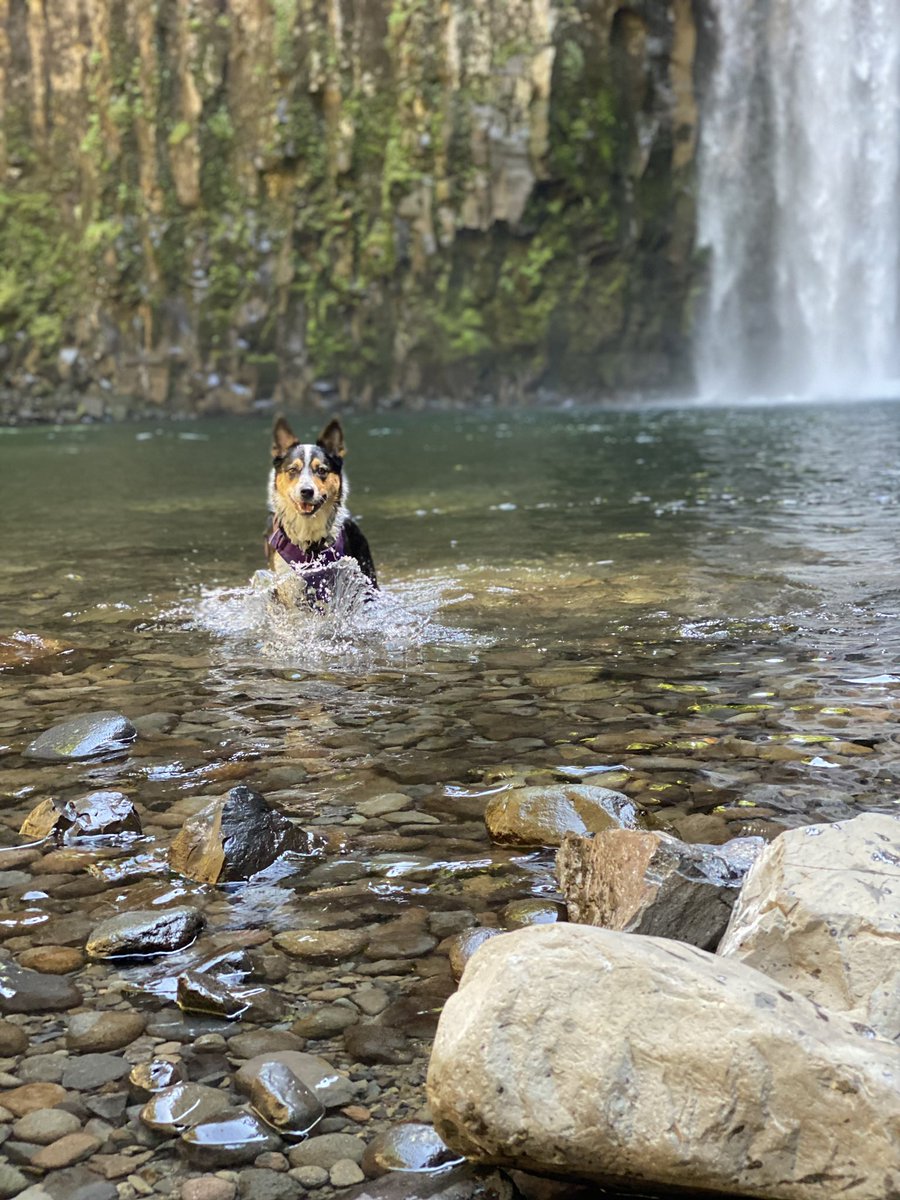 cryptomisfit8's tweet image. Hey! I heard you were looking for my art? 🎨📸

Follow me ✅
Like this post✅
Repost✅

Do these 3 things ⬆️

Unlock my first digital collectable? ⏳👀 #18