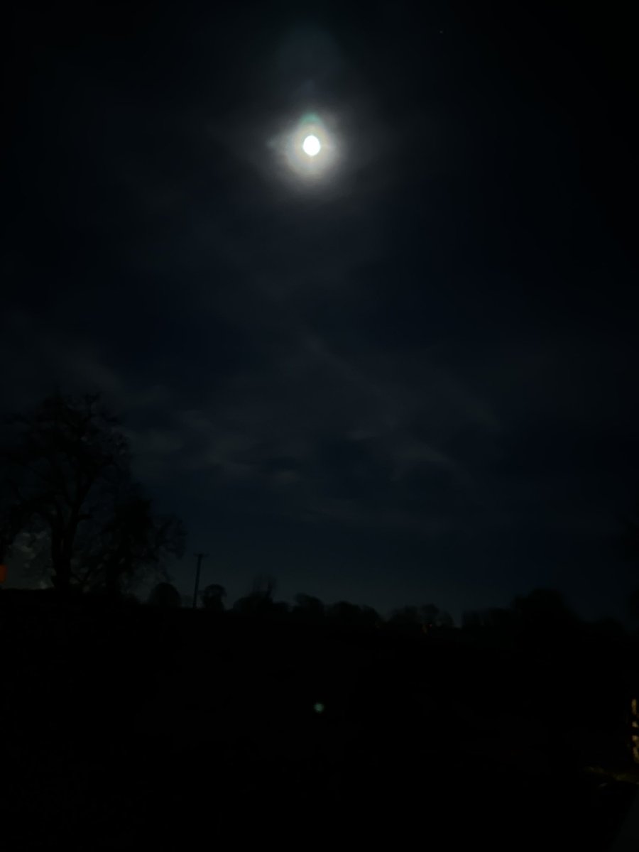 Charney Manor Primary Geography Research tweet media