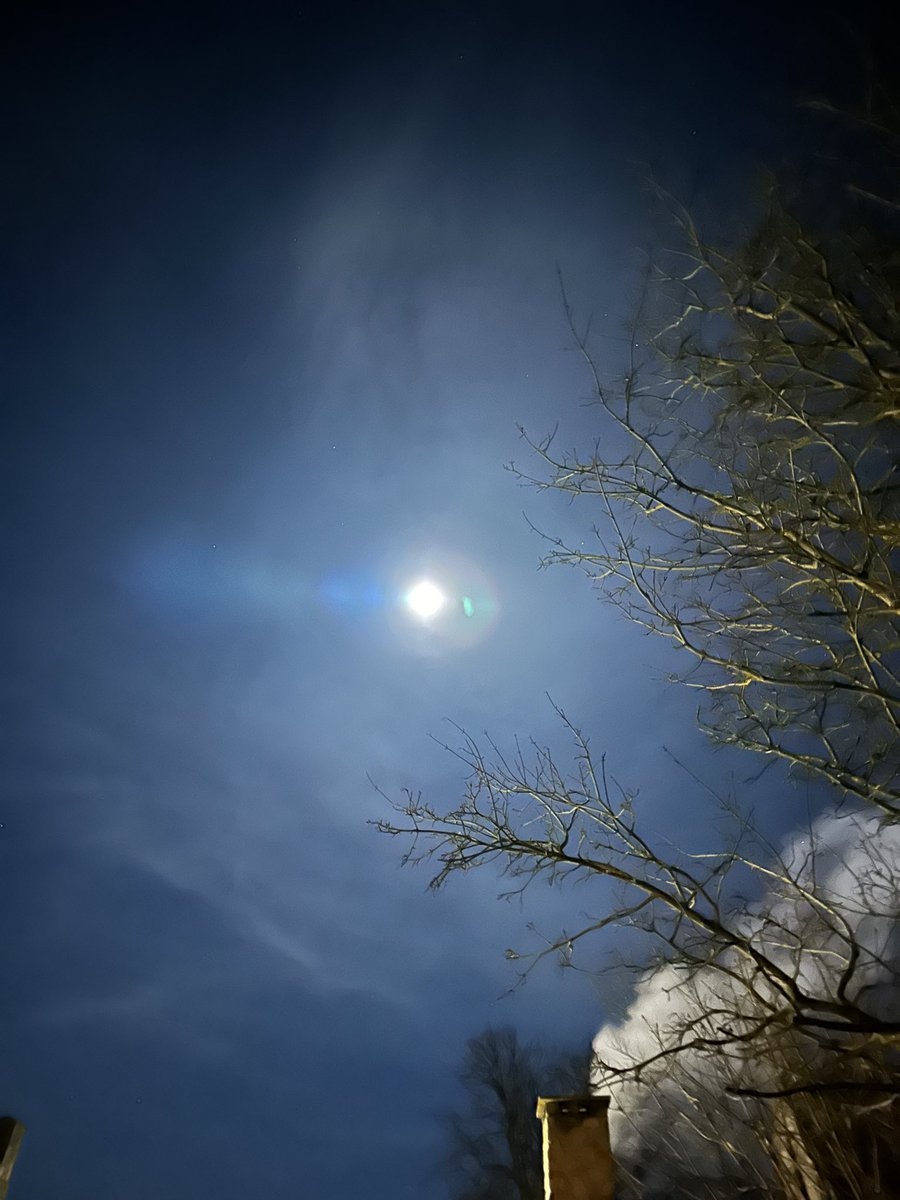 Charney Manor Primary Geography Research tweet media