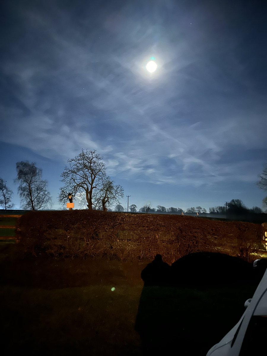 Charney Manor Primary Geography Research tweet media