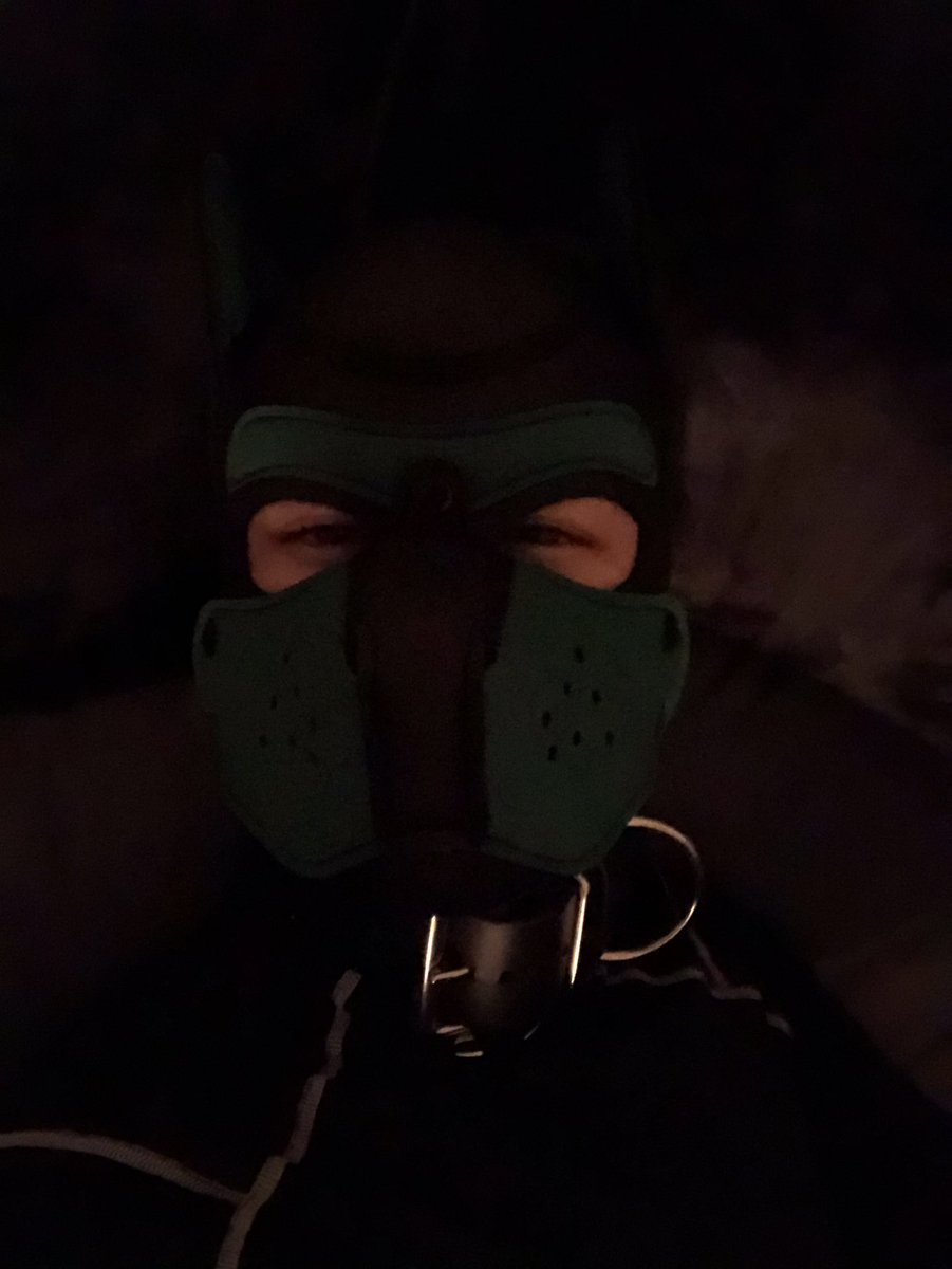 stoned spandex puppy