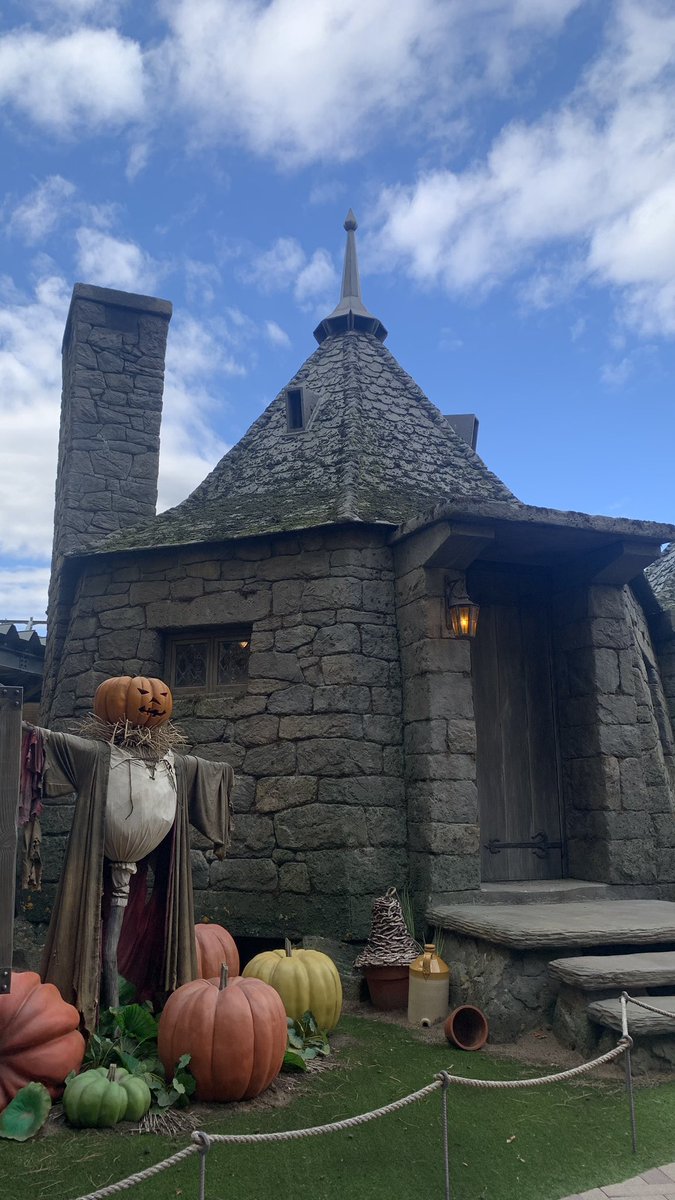 __mayu24's tweet photo. ��♟️🎃🧣 https://t.co/CCs3nyi9qx