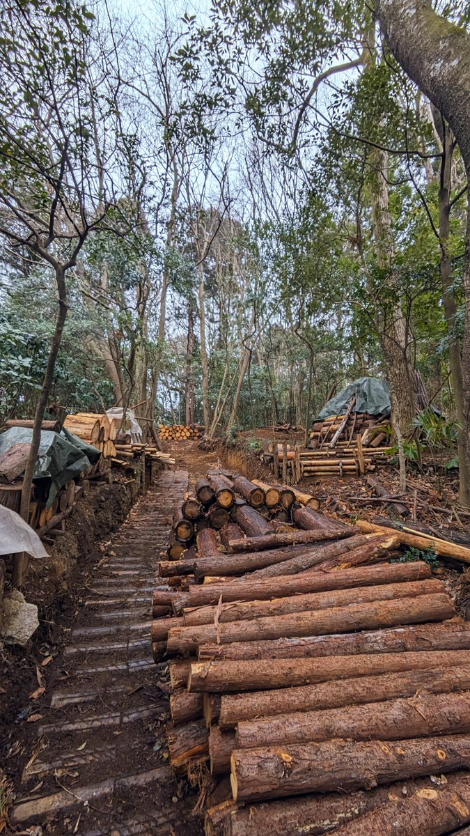 薪活 - البحث / X