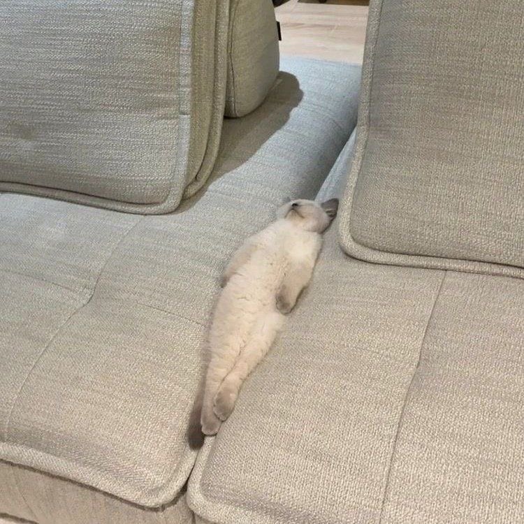 lostyouinmay's tweet photo. สตอรี่ไอจีวันนี้คนส่วนใหญ่ไปเที่ยว 99% 
ส่วนกุ : https://t.co/e24QOFmNiR