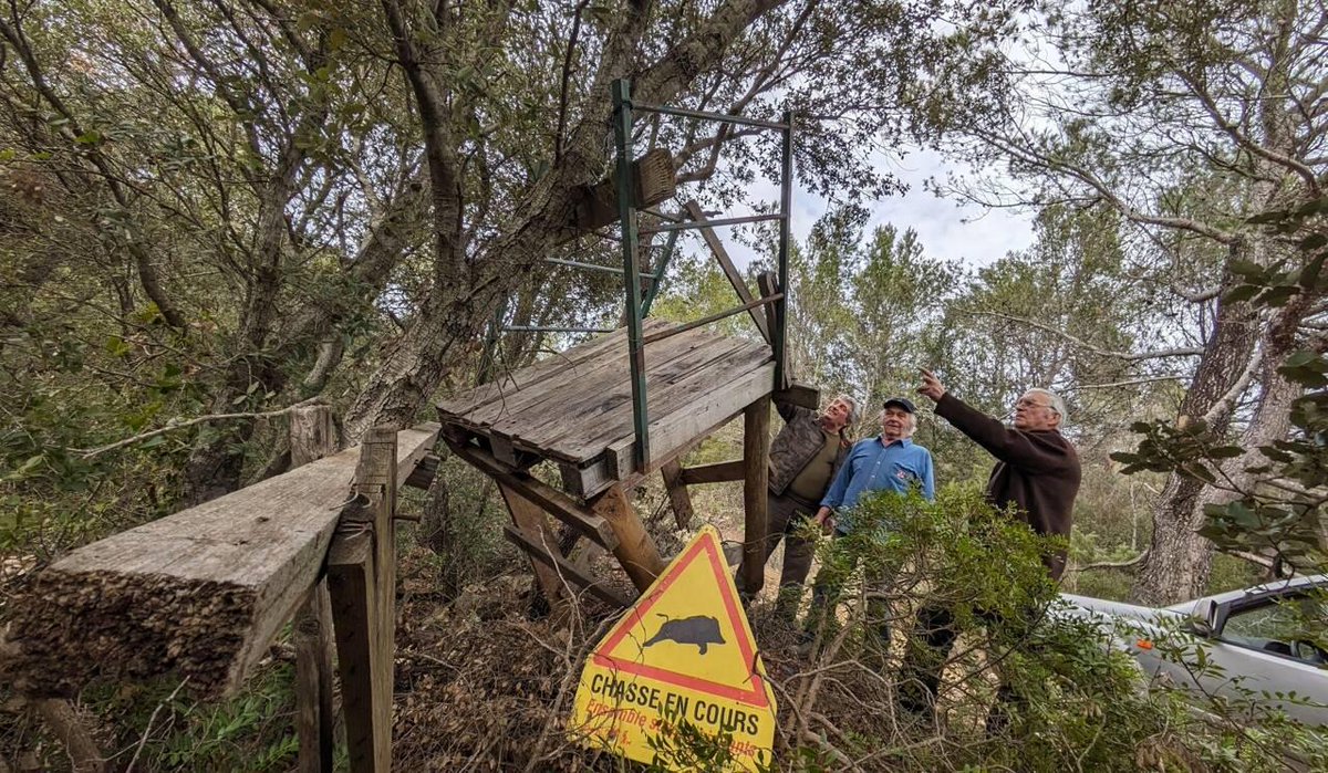 FOURTEEN HUNTING TOWERS DESTROYED, HUNTERS DESPERATE FOR A BREAK.

read the report: 

unoffensiveanimal.is/2024/02/19/fou…