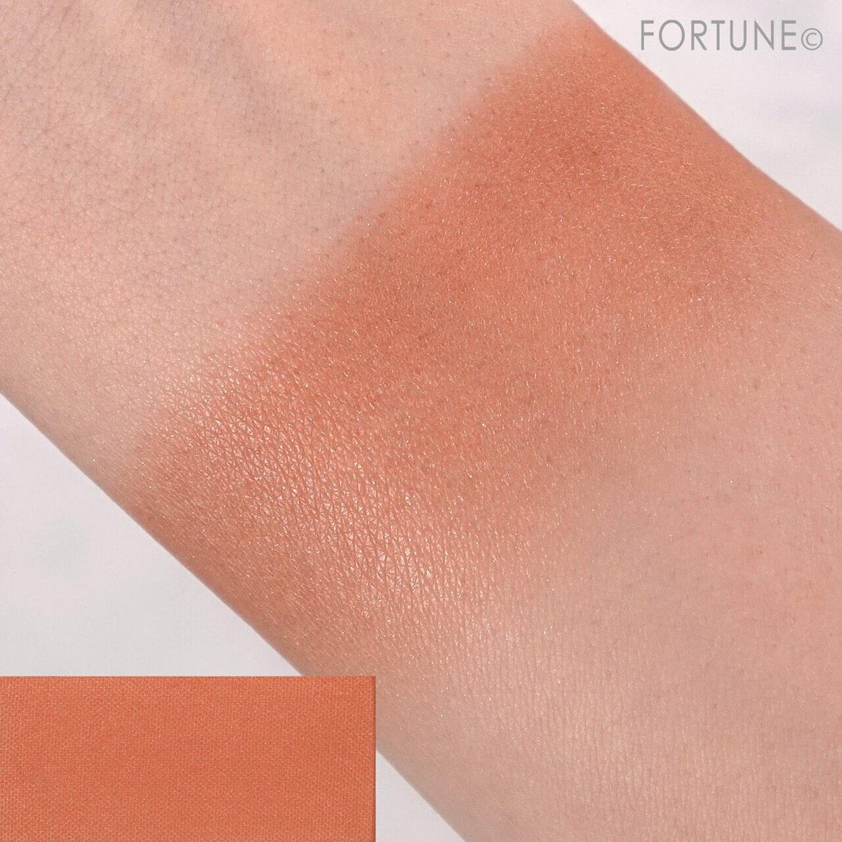 【FORTUNE（ふぉーちゅん）】新作コスメのリアルレビューを配信💋✍ tweet media