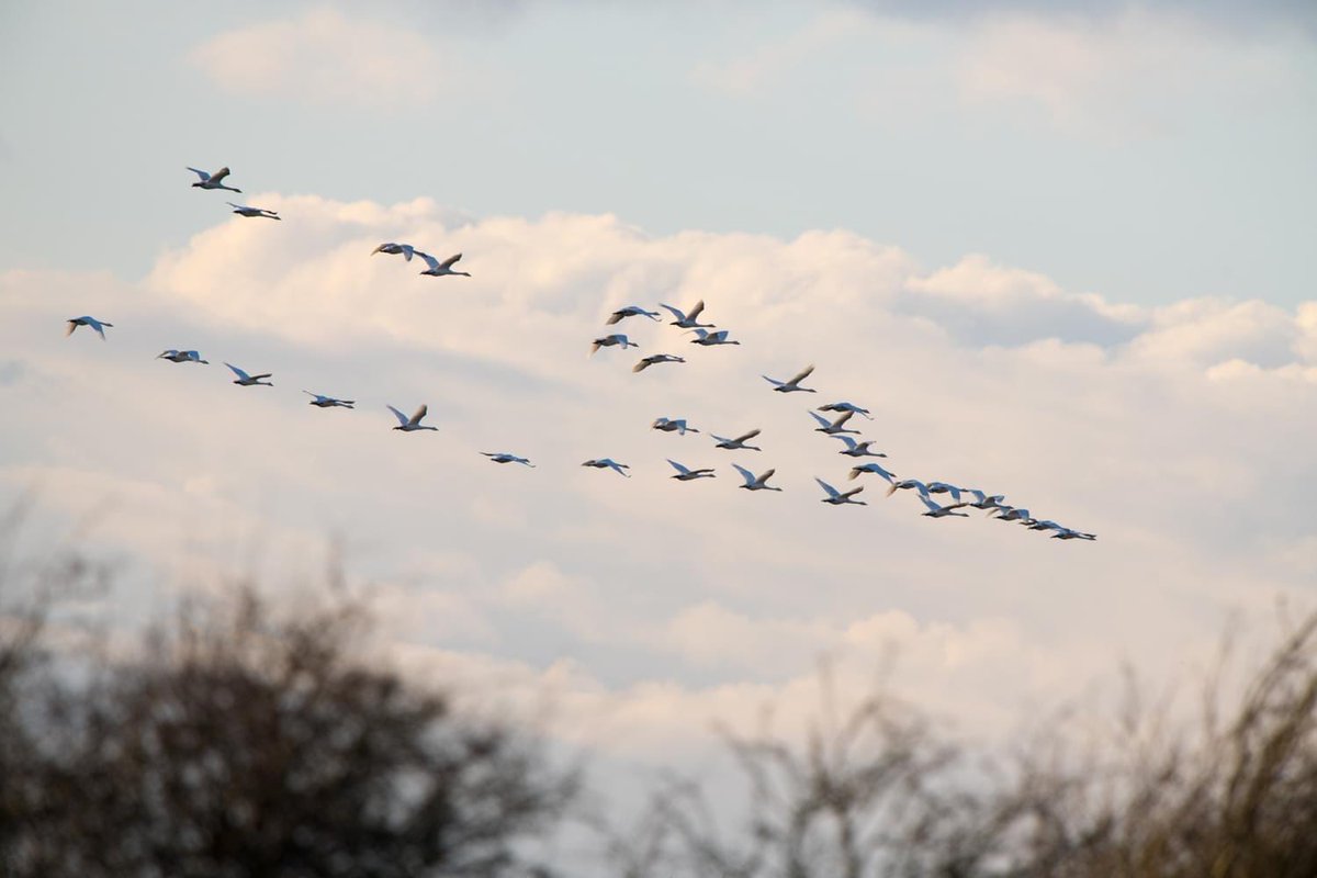 Fiskerton Fen Lincolnshire 

<a href="/LincsSkies/">Lincolnshire Skies</a>