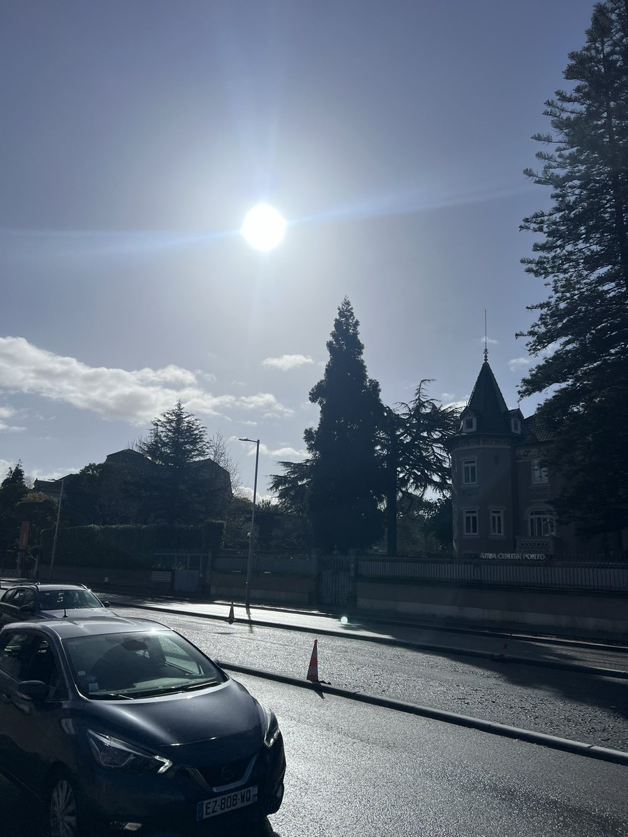 ANDY MAYO tweet media