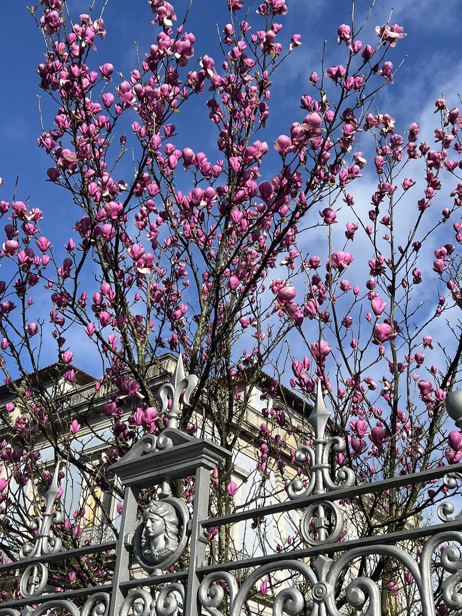 ANDY MAYO tweet media