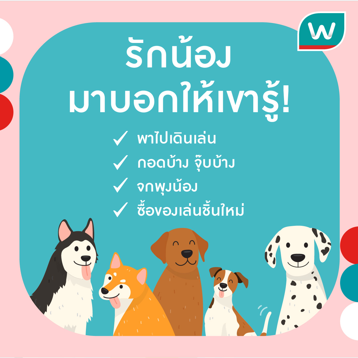 อย่าลืมบอกรักเจ้านายสี่ขาของเรากันน้าาาา 💟🥰 #petlover #watsonsth #pet #watsonshereforyou #lookgooddogoodfeelgreat #dog #cat