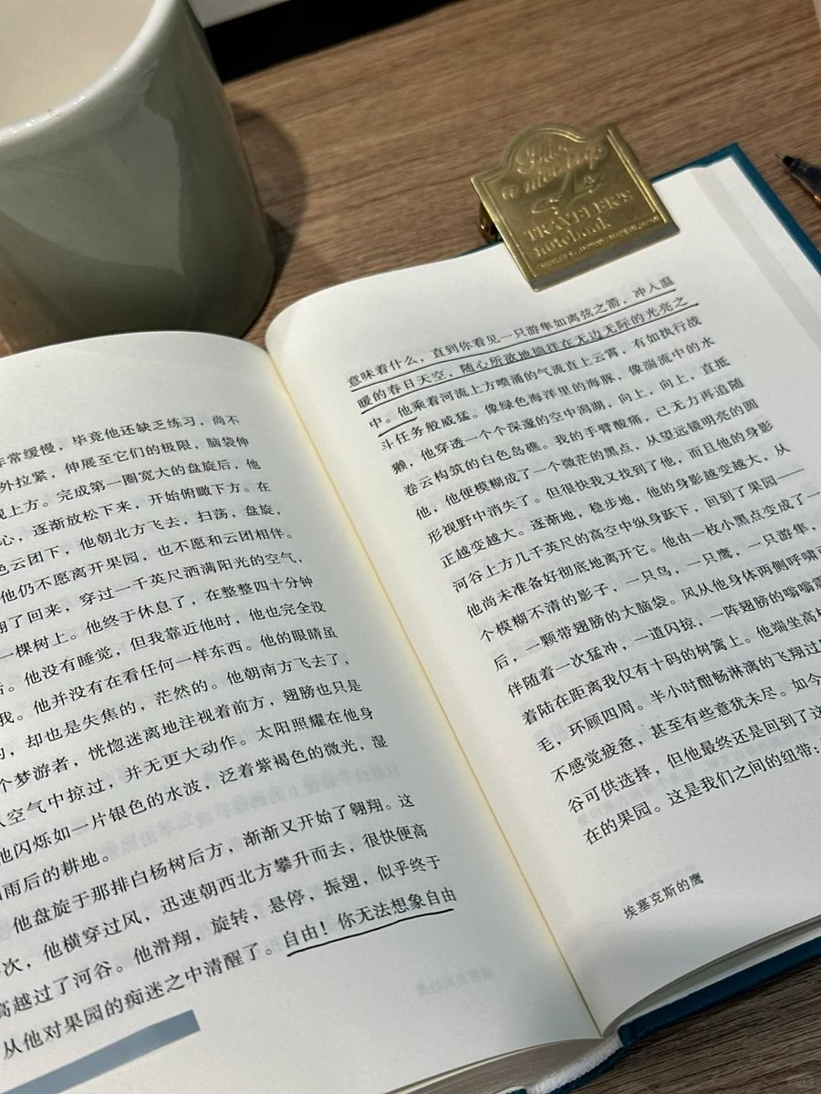 animpuyehillary's tweet photo. リリーは読書が好きな若い女性で、このような環境でしばらく静かな時間を探して思う存分本の海に浸ることができるようにすることを好きだ。彼女の目は知恵に輝き、彼女の手の中の本は彼女の良き師であり友人であった。 https://t.co/c4Gvc7mTBg