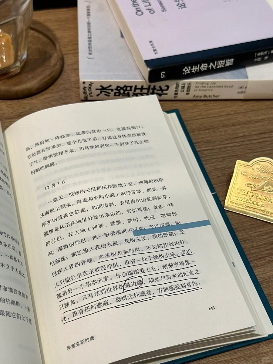 animpuyehillary's tweet photo. リリーは読書が好きな若い女性で、このような環境でしばらく静かな時間を探して思う存分本の海に浸ることができるようにすることを好きだ。彼女の目は知恵に輝き、彼女の手の中の本は彼女の良き師であり友人であった。 https://t.co/c4Gvc7mTBg