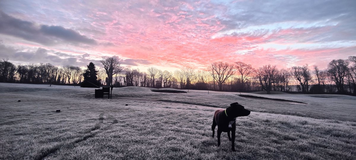 Got the main man Django out on this Lully Sunday morning setup ⛳