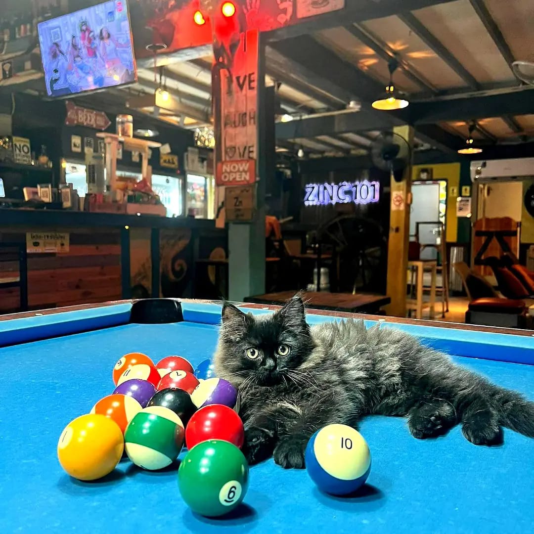 🍻 Happy Long Weekend Sunday! 🍻  

Happy Hour from 3pm to 7pm
85 Baht Large &amp; 60 Baht Small!
⚽ Premier League: Wolves vs Sheffield - 8:30pm 
🏉 Six Nations Rugby: France vs Italy - 10:00pm 
🏆 Carabao Cup: Liverpool vs Chelsea - 10:30pm 
(LIVE w/ Thai &amp; English Commentary)