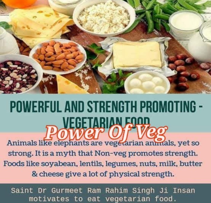 Dera Sacha Sauda has always emphasized upon vegetarian food.  Millions of people have adopted vegetarianism by following the pious sermons of Saint MSG Insan and living a healthy life.
#PowerOfVeg