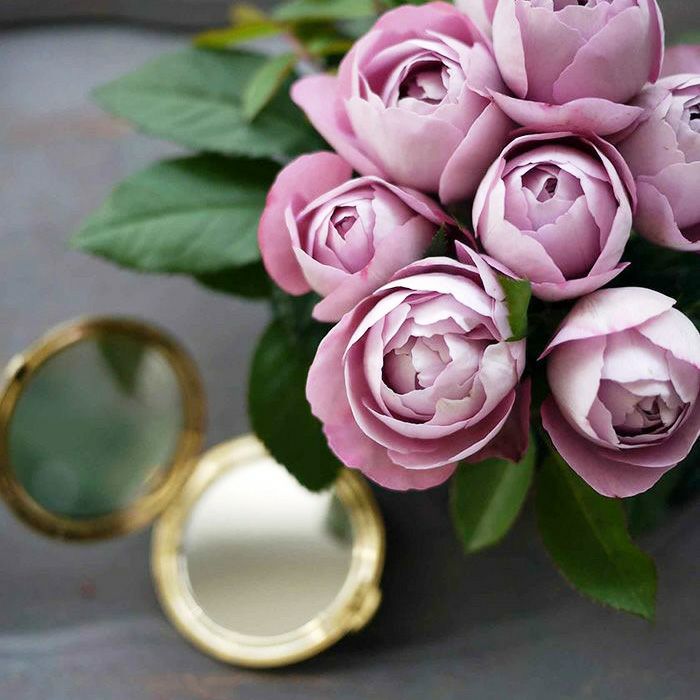 サエナクラエナ作 【バラ】 バラ苗 予約新苗 2026 ルナリィ Lunaly 国産ノイバラ台木使用 | 予約新