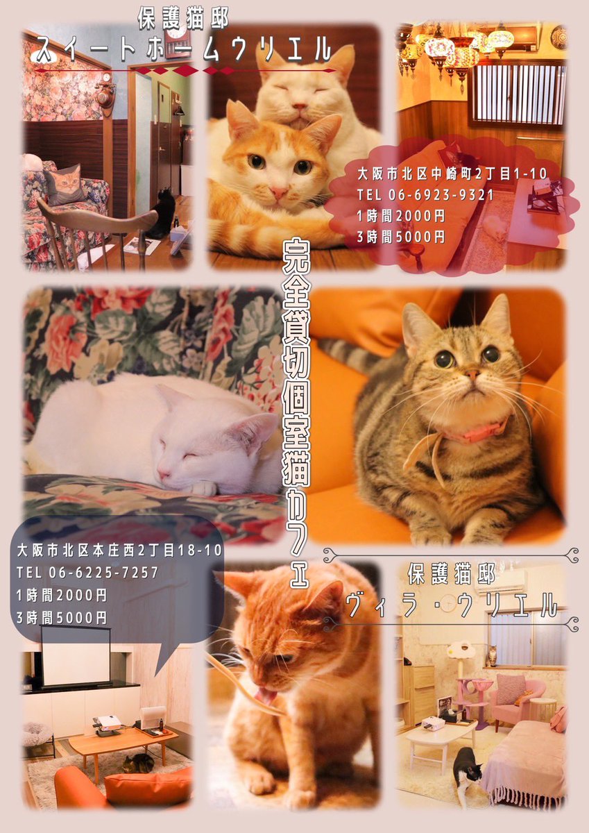 ディア・ウリエル🌟就労継続支援B型 tweet media