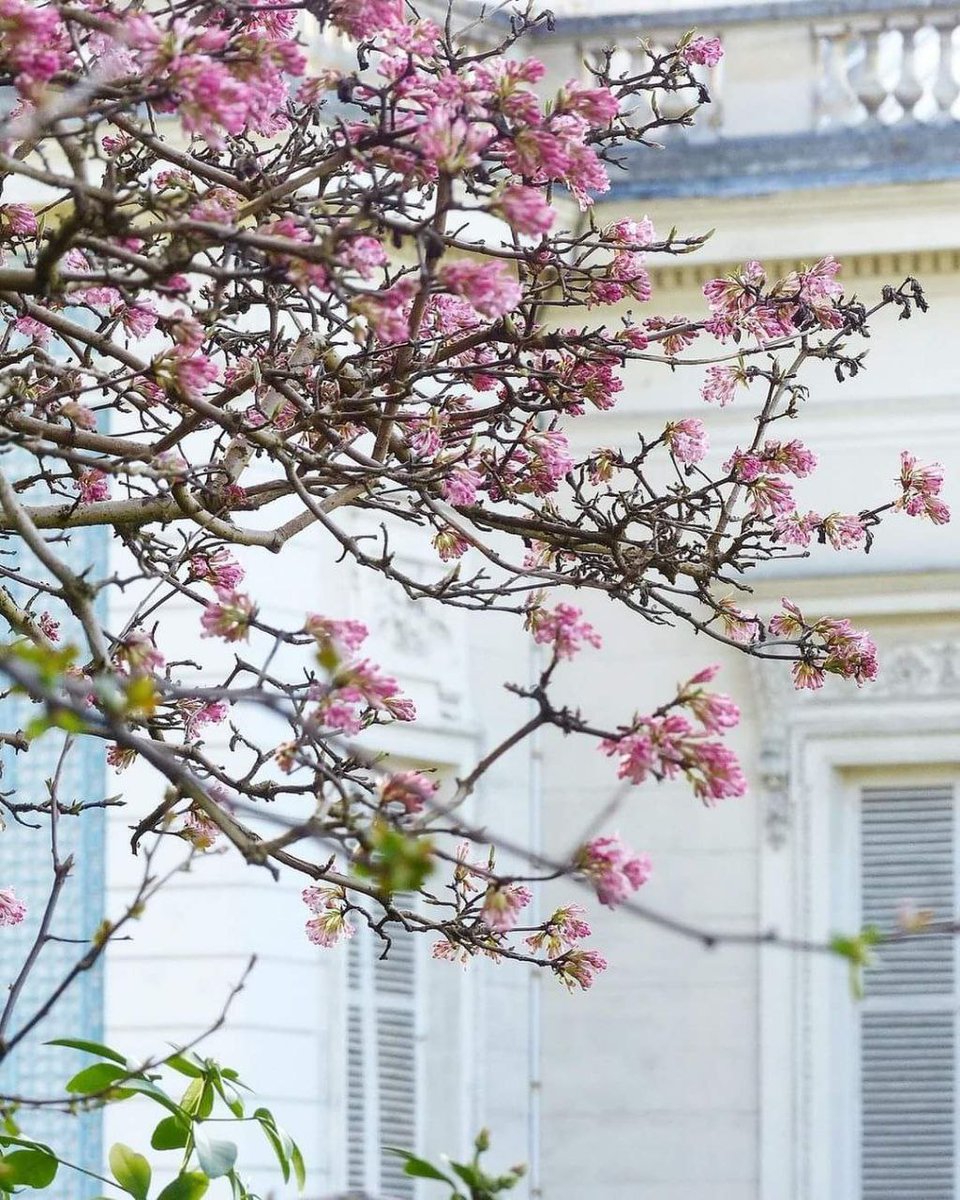 تو حال خوش
لحظه‌‌های
منی...