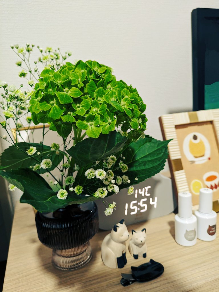 denden336Navy00's tweet image. 猫の日過ぎてしまったけど、𓃠ブース作ってみました。
uka cat study 見つけられてよかった。
#猫の日2024 #uka #catstudy