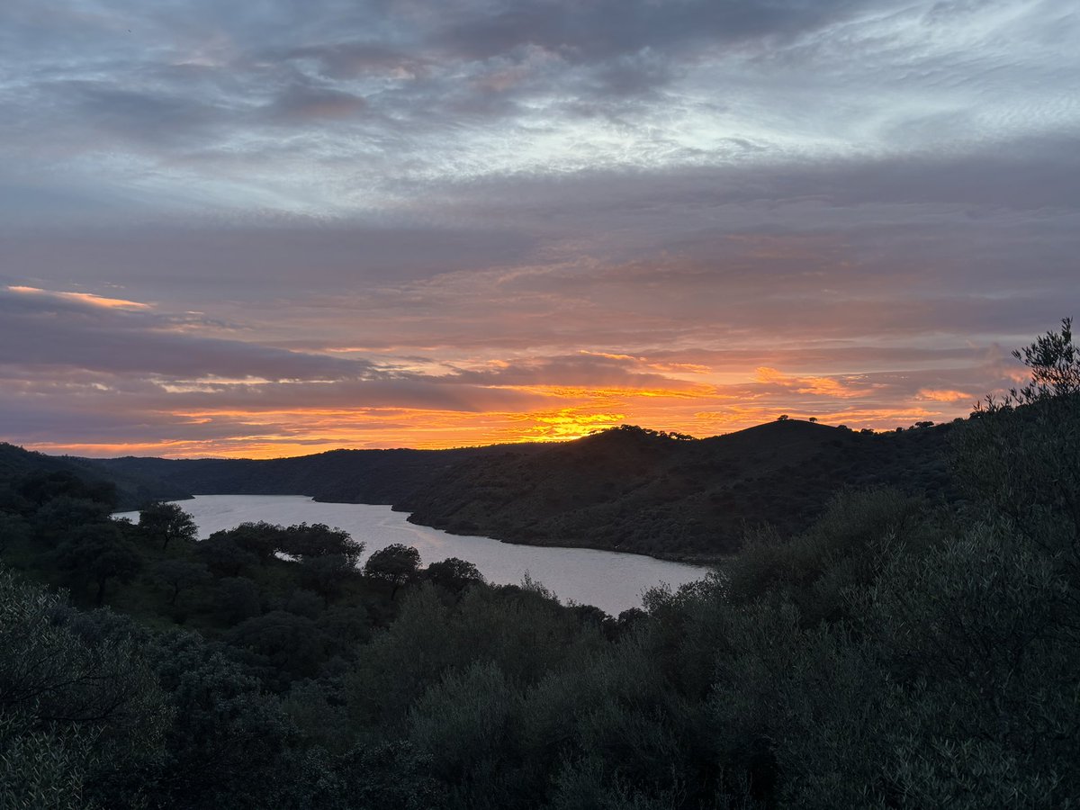 P.N. De Monfrague. Fin de Semana celebrando la FIO, se adivinan las nubes que traen lluvias. @HimarGonzalez