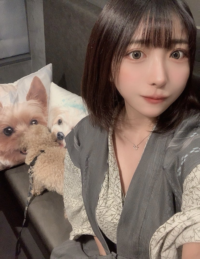 犬って犬の顔を認識してるのかな(デカイ) https://t.co/PJkrhPTju5