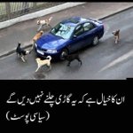 Photo by 𝗦𝗠𝗧 𝗣𝗠𝗟𝗡 تنویر ہاشمی (@hashme_786)