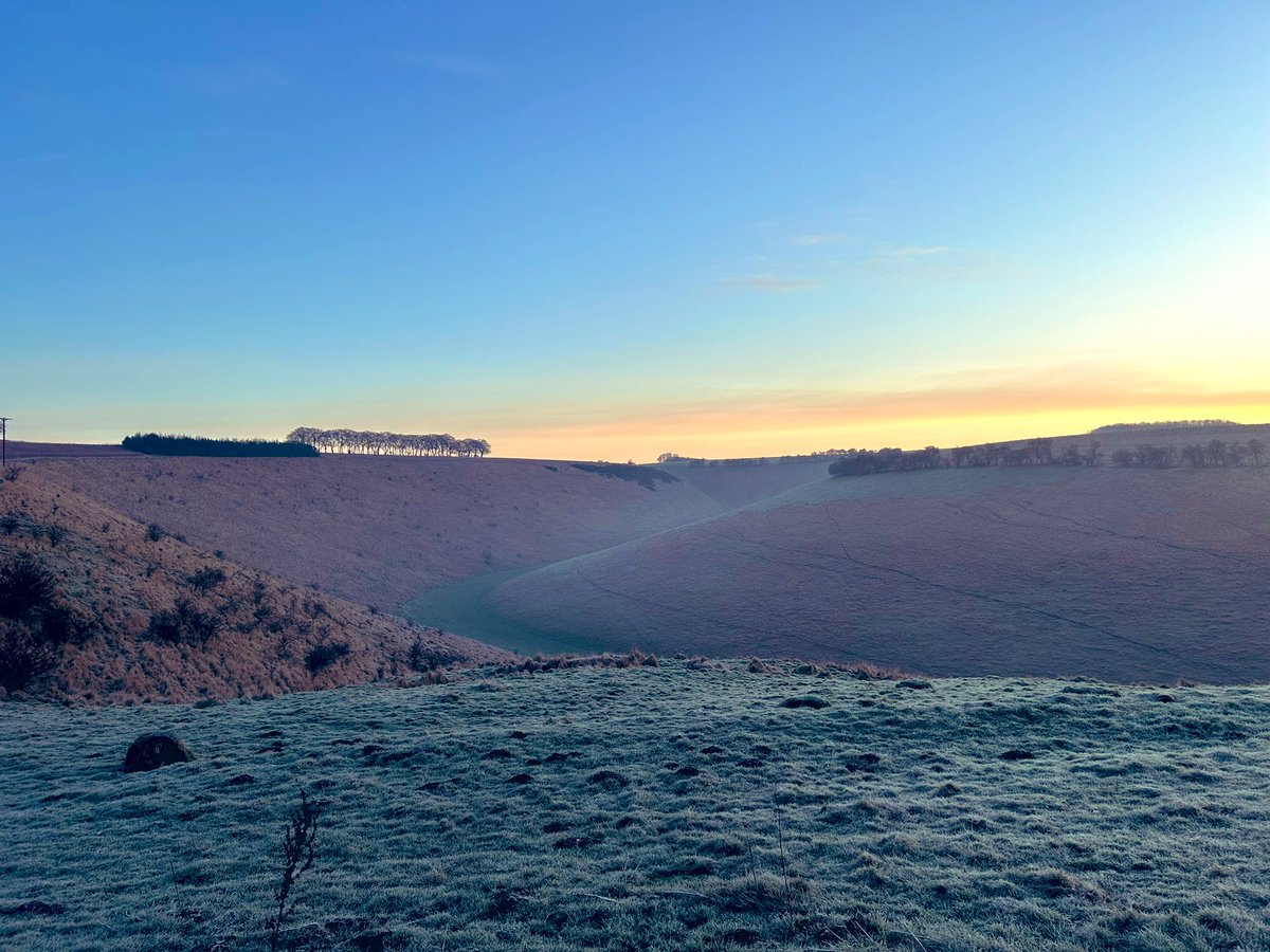 A very frosty Fairy Dale on the #YorkshireWolds this morning. Temperature -4.5°C ❄️ @WeatherWolds @Yorkshire_Wolds