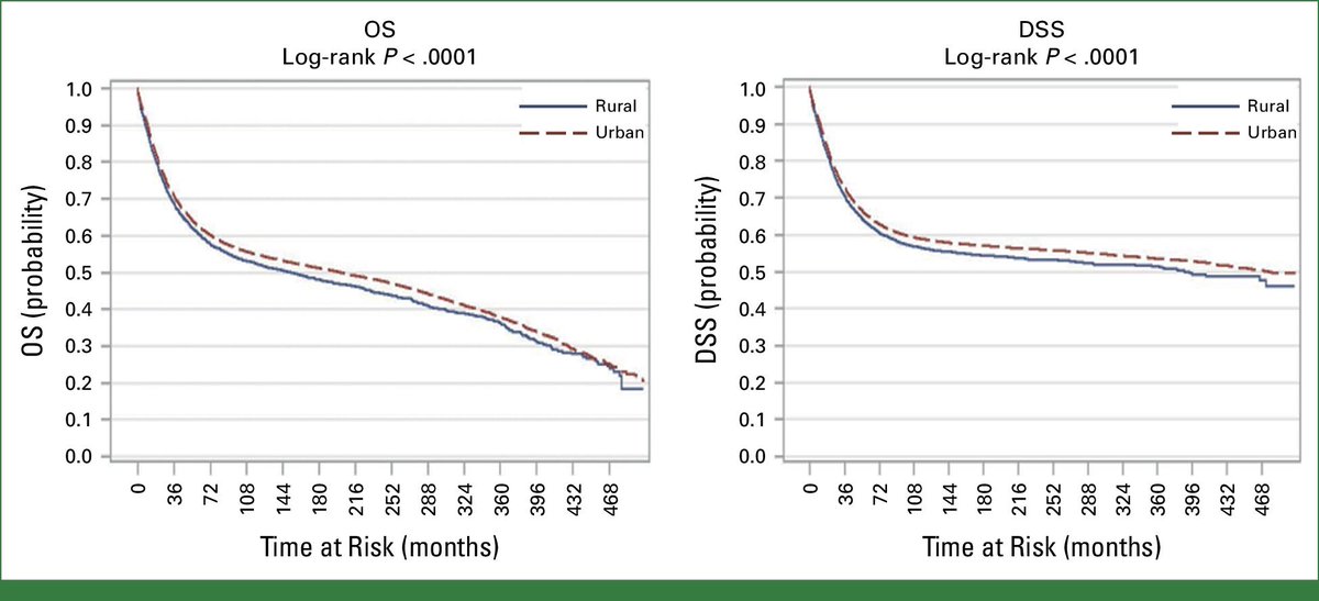 Erman Akkus tweet media