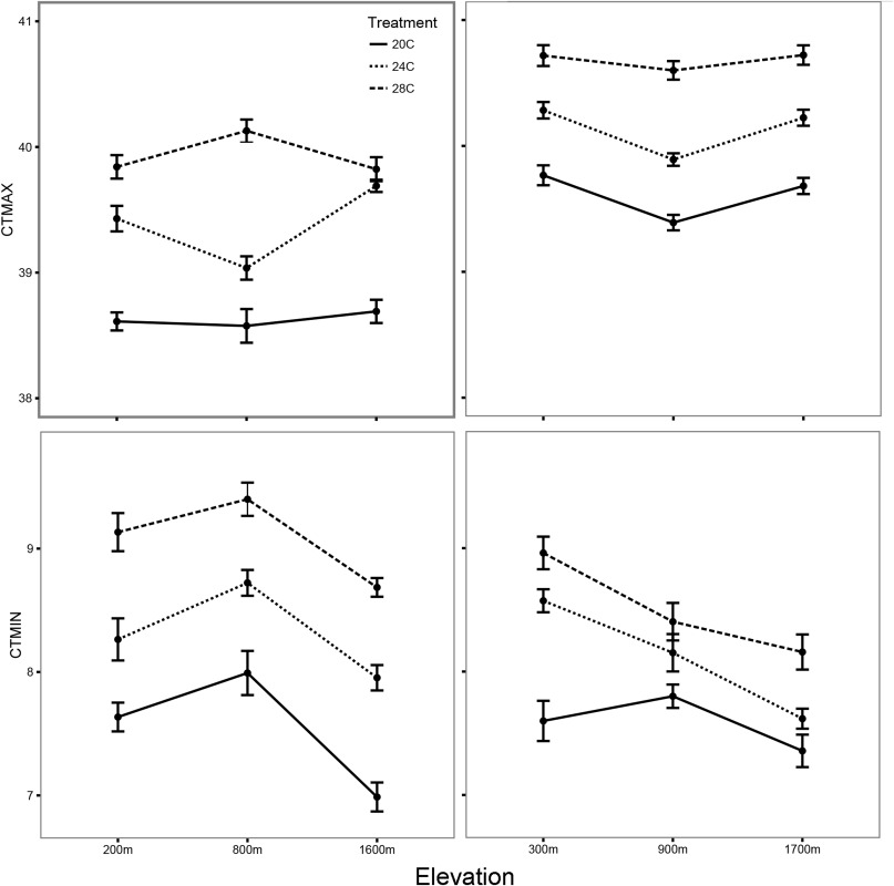 'Thermal limits along tropical elevational gradients: #poisonfrog tadpoles show plasticity but maintain divergence across elevation' –great paper by @MonicaIPV & @fieldgenomics on the tadpoles of the beautiful #Epipedobatesanthonyi from Ecuador