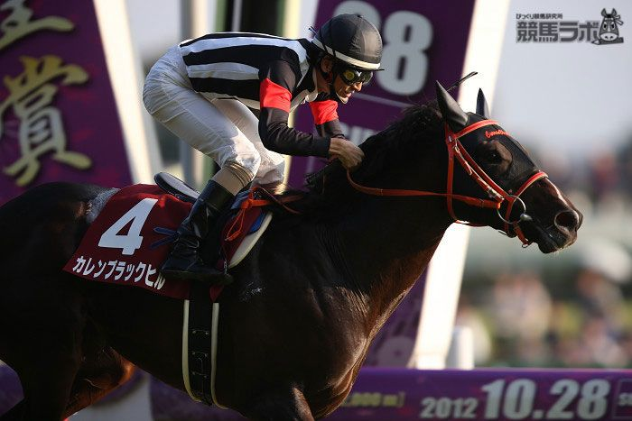 keibalab's tweet photo. 【ありがとう秋山真一郎騎手】
JRA通算13543戦1059勝
JRA重賞38勝(G1は2勝)
#秋山真一郎
https://t.co/YEvHXHVW0y https://t.co/8zhsuauRzs