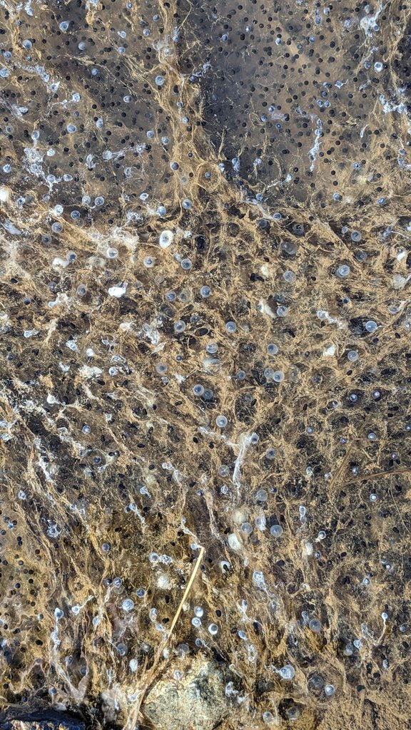 Skye💙 
I bloody love Scotland