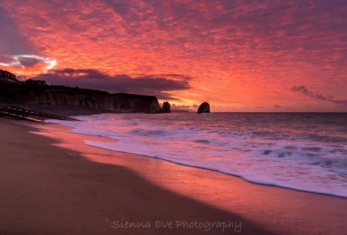 The most incredible sunrise this morning at Freshwater Bay #sunrise