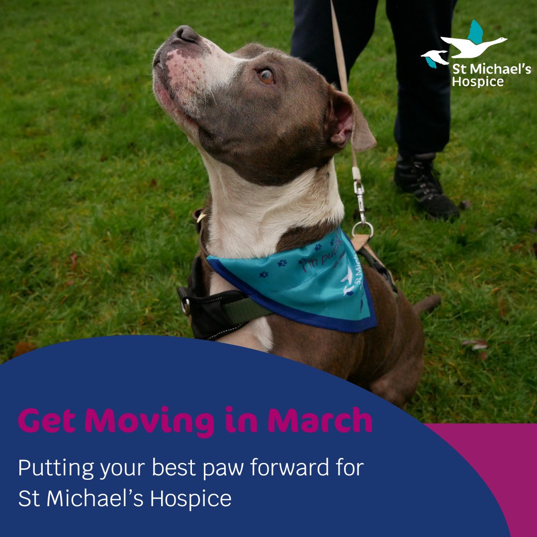 smhbasingstoke's tweet photo. We have one week until our #GetMovingInMarch virtual walking challenge officially starts. Our four-legged friends are ready for the challenge! Its been wonderful to see photos of your companions supporting their bandanas. Sign up now - https://t.co/lmLTBwnr2C https://t.co/tvGG75hTOb