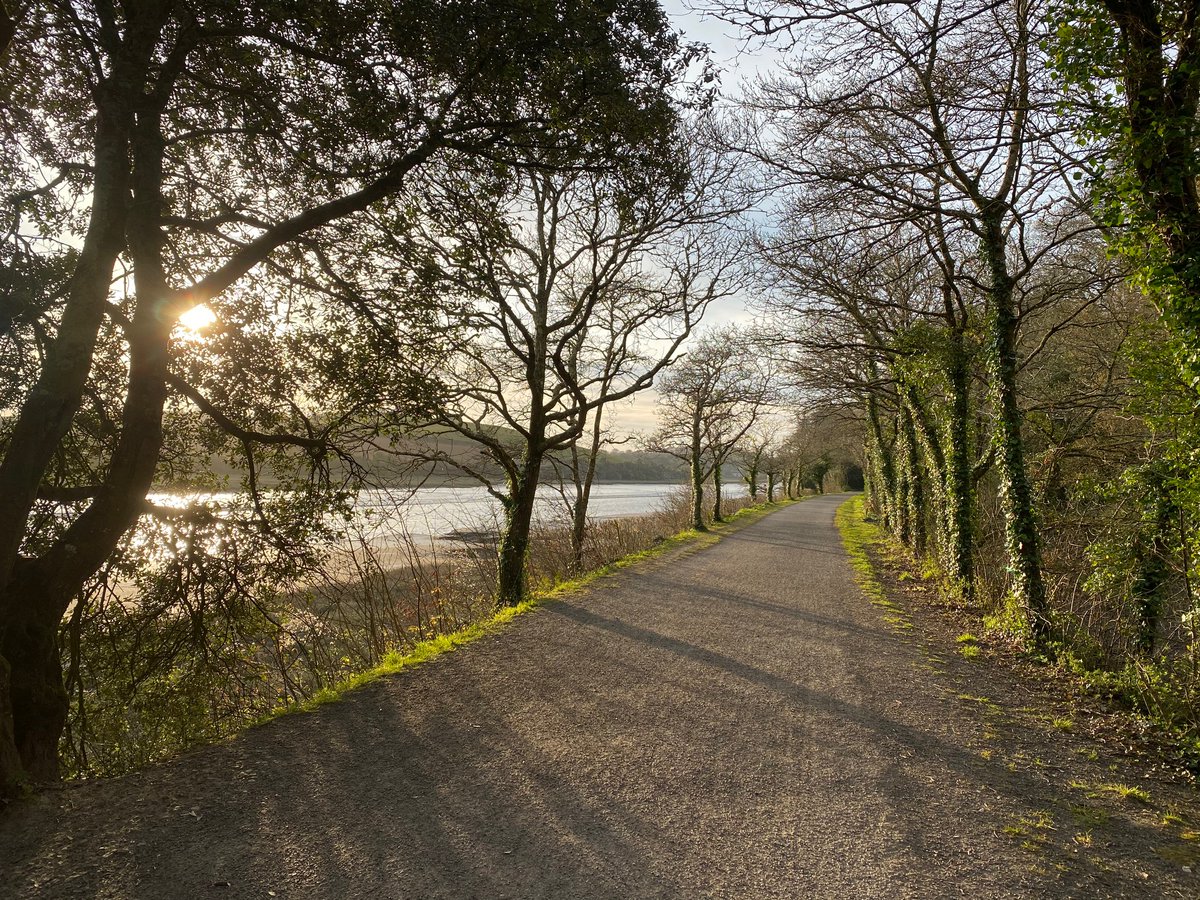 A bright morning on the trial, wishing you all a peaceful Sunday. #cameltrail #padstow #wadebridge #cycle #cyclehire #bikehire #cornwall #sunrise