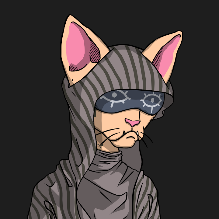 We offer free short crypto pumps twice weekly. 1 million persons in our telegram channels