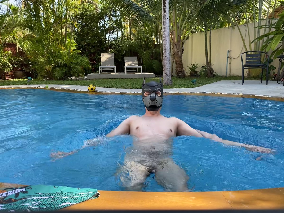 T-Bone 🔜 Darklands 2025 tweet media